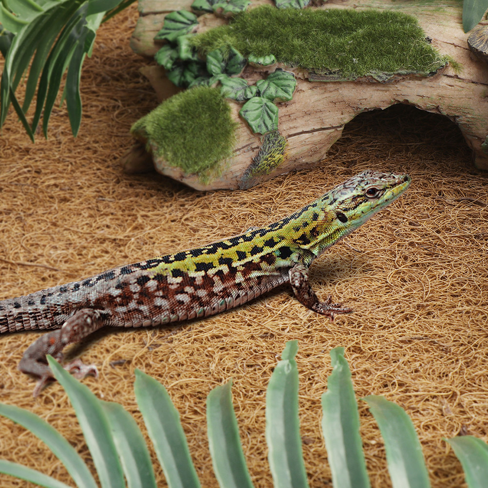 Reptile Carpet Natural Coconut – обзор и цена Substrate Coconut Fiber