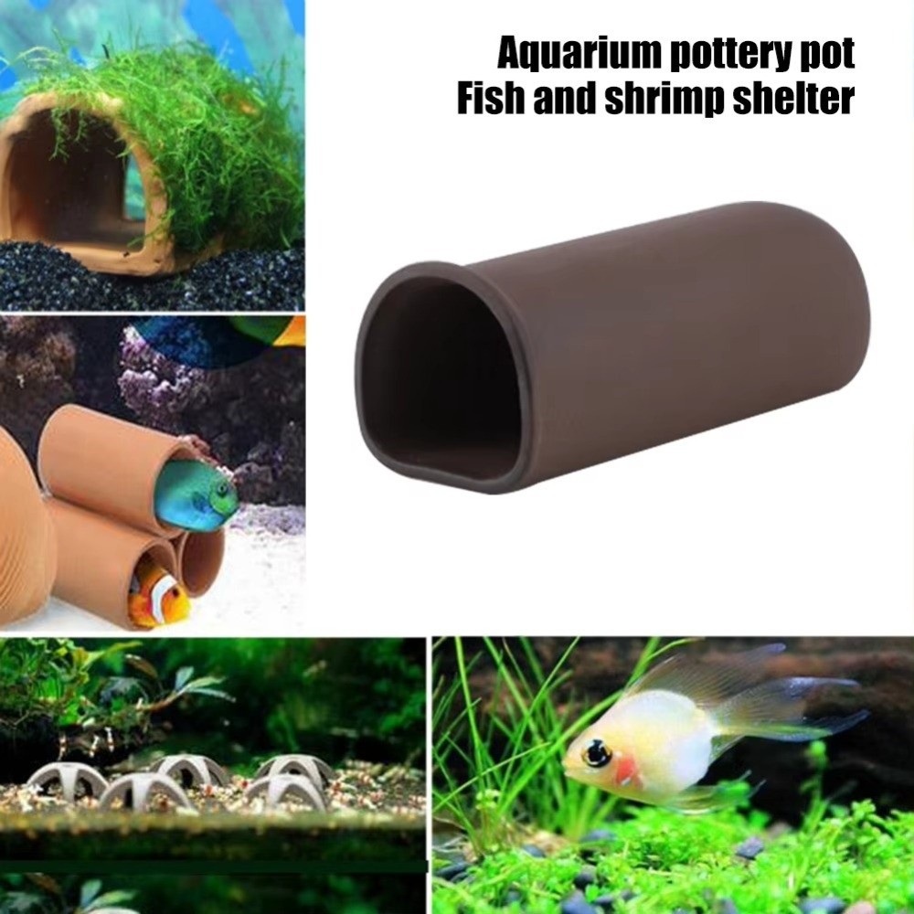 Playing Breeding Spawning Aqua – обзор и цена Hide Cave Ceramic