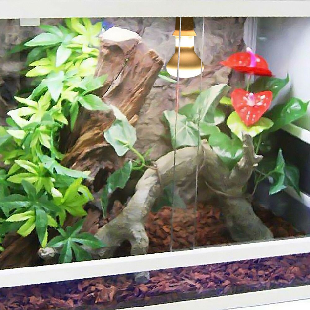 Lizard Temperature Controller  – обзор и цена Basking Bulb Halogen