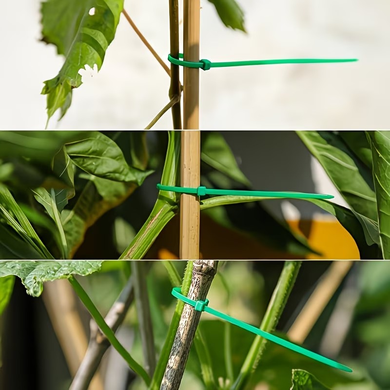 50-300pcs Adjustable Plastic P – обзор и цена Vine Climbing Plastic