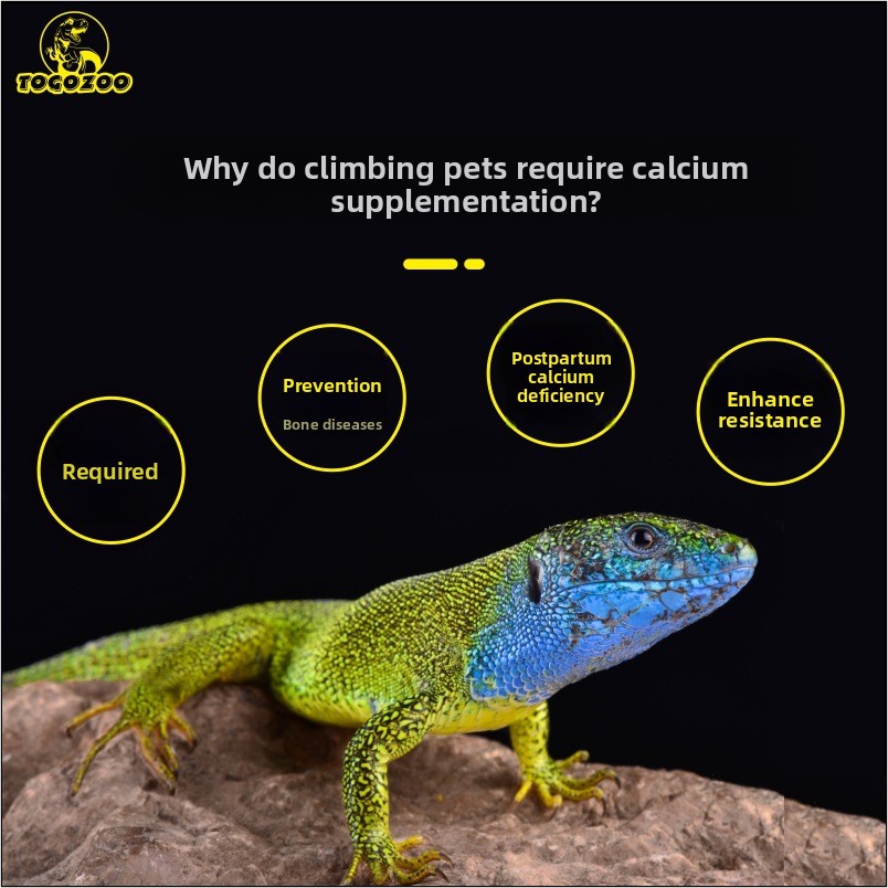 TOGOZOO WILDCAL Reptile Calciu – обзор и цена Calcium Powder Reptile
