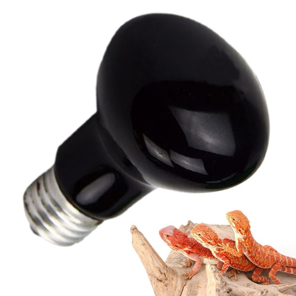 Infrared Led Pet Heating Lamp  – обзор и цена Ceramic Heat Emitter