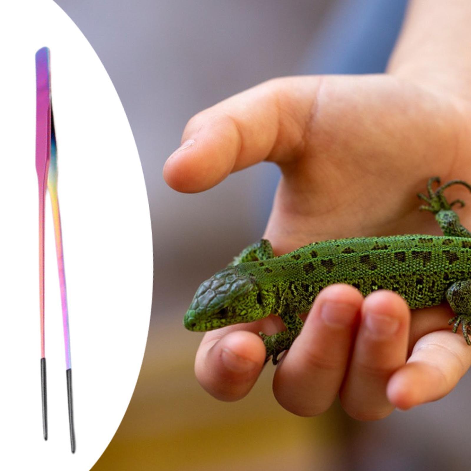 Aquarium Tweezers Reptile Feed – обзор и цена Feeding Tong Stainless