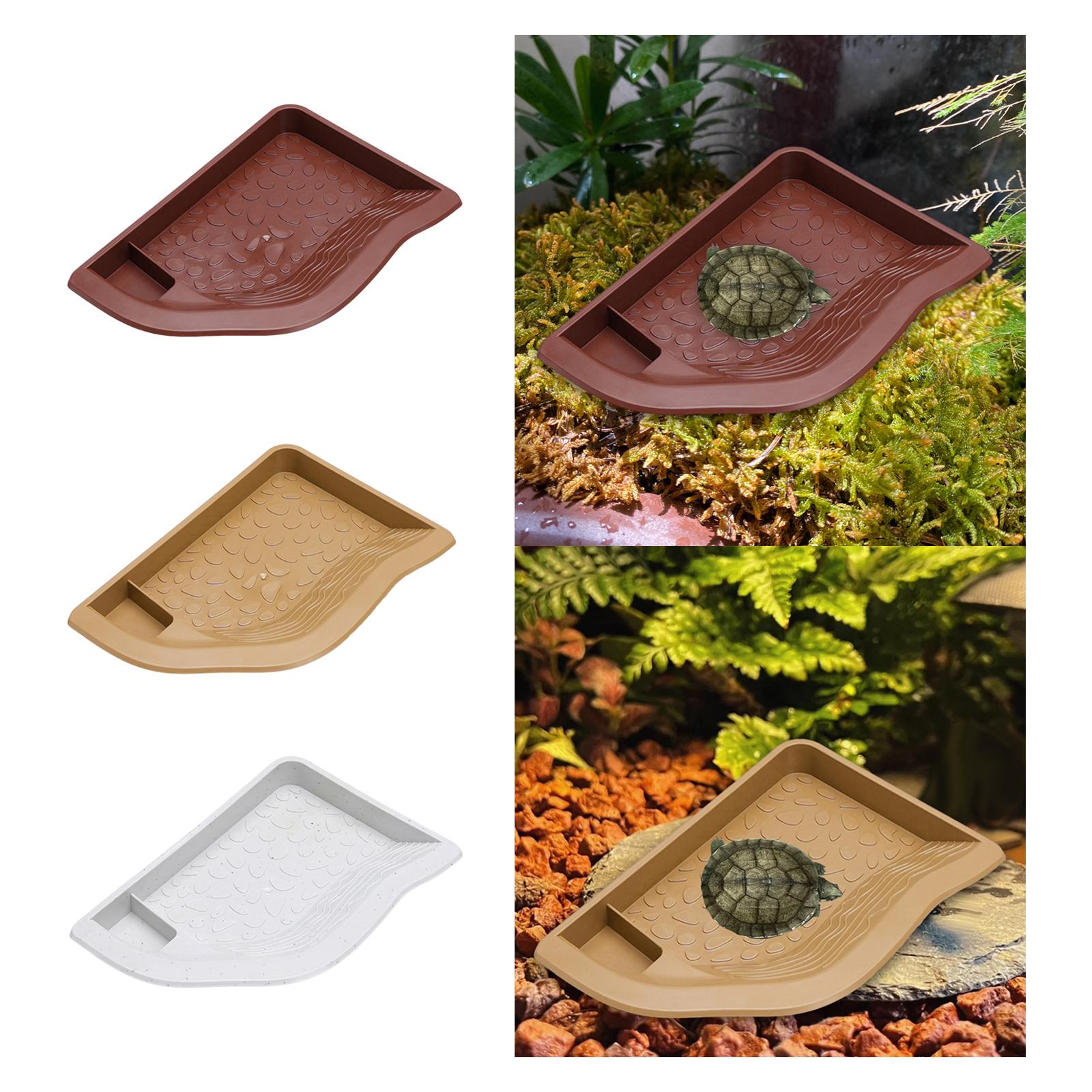 Reptile Pool Water Dish, Torto – обзор и цена Water Dish Reptile