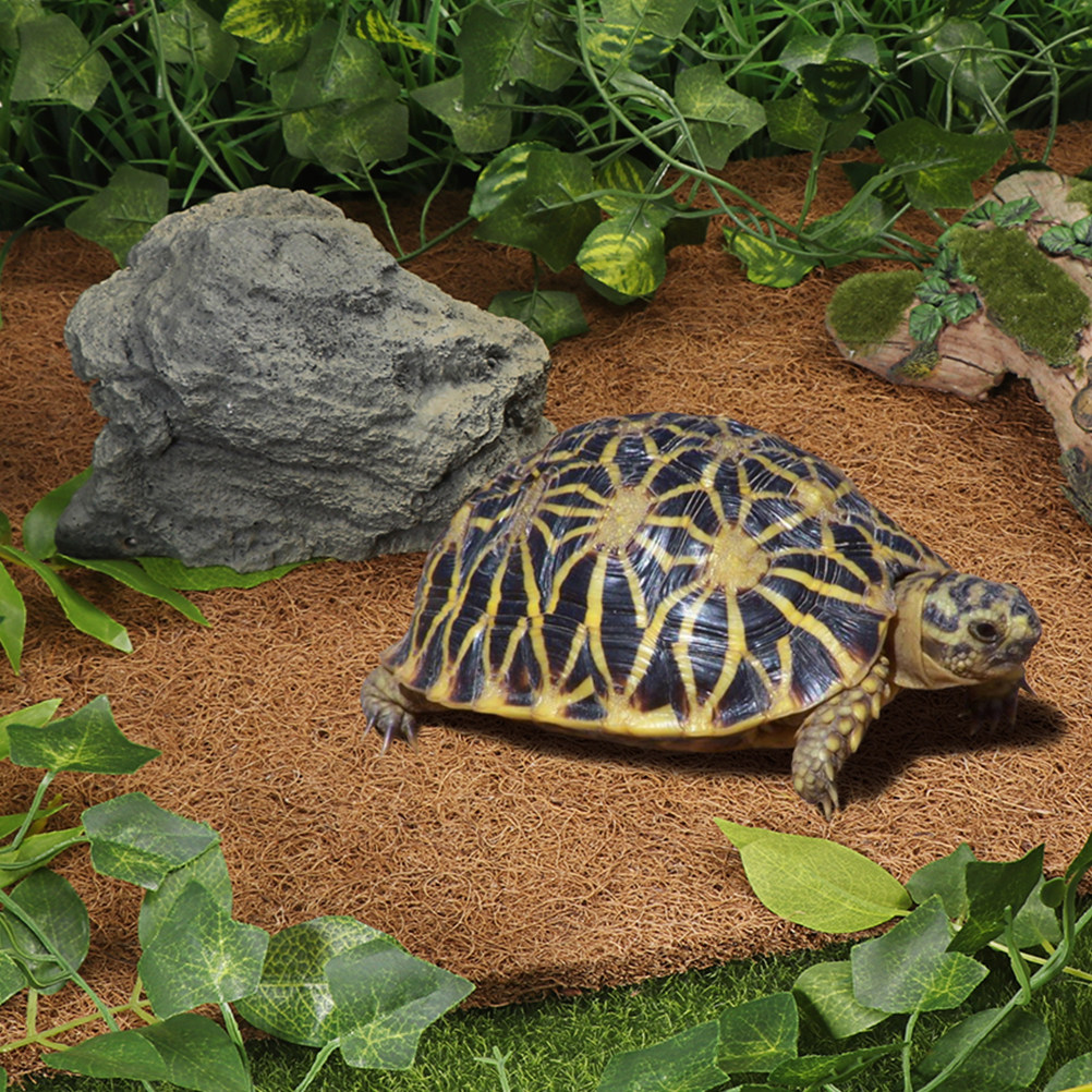 Reptile Terrarium Bedding Subs – обзор и цена Substrate Coconut Fiber