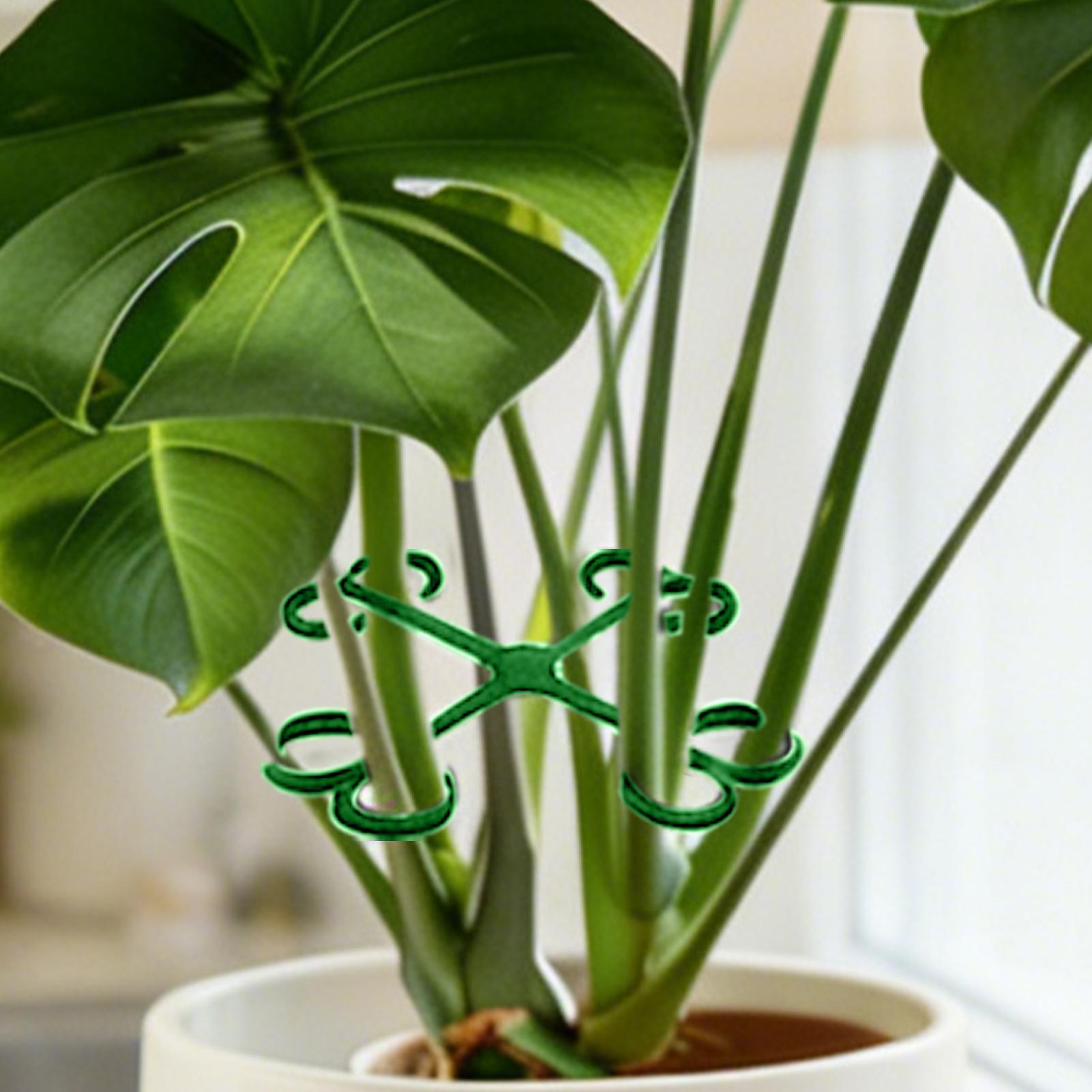 4Pcs Plant Stem Support Clips  – обзор и цена Vine Climbing Plastic