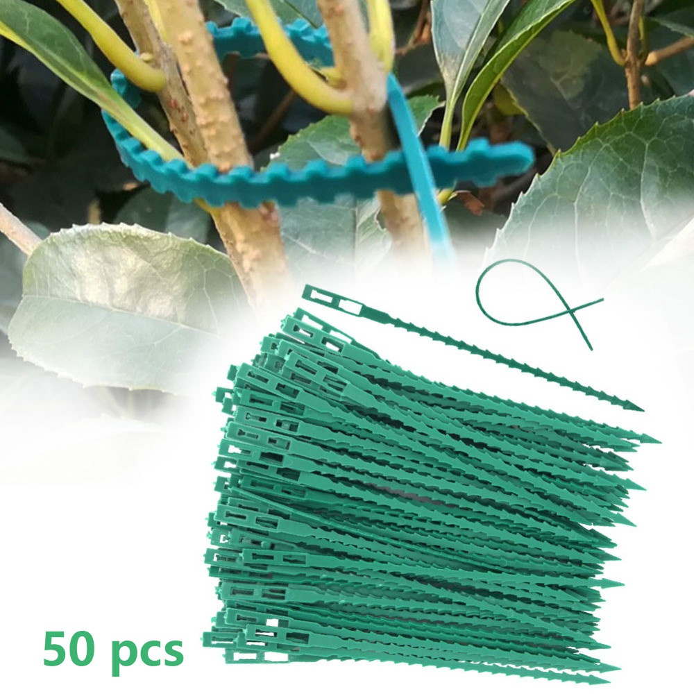 50Pcs Reusable Adjustable Plas – обзор и цена Vine Climbing Plastic