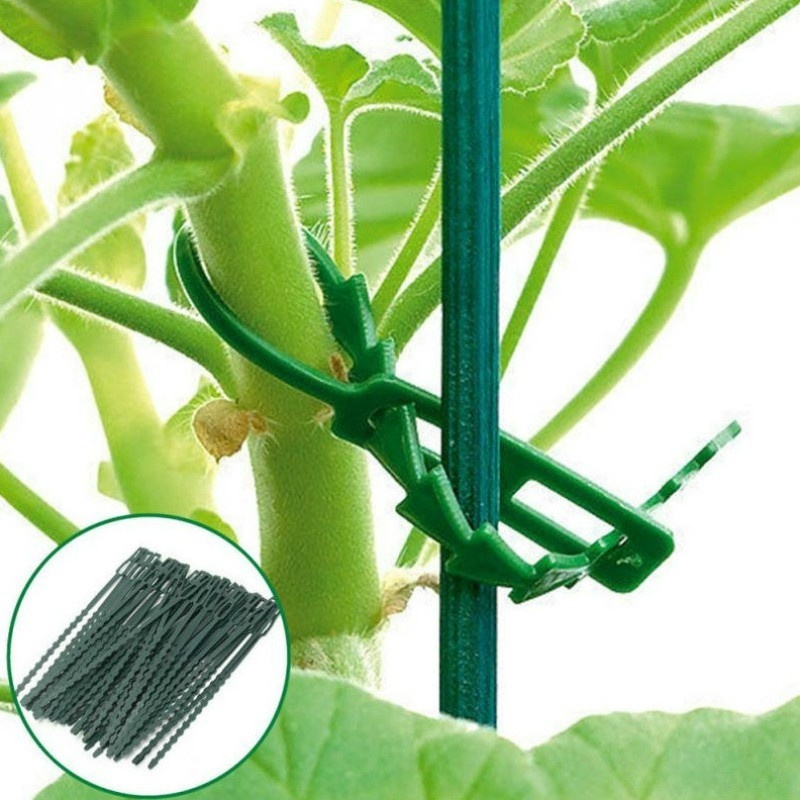 50Pcs Reusable Adjustable Plas – обзор и цена Vine Climbing Plastic