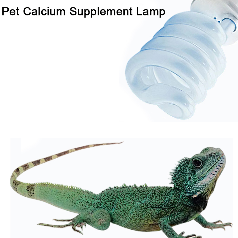 E27 13W/26W Reptile Uvb Lamp   – обзор и цена Calcium Powder Reptile