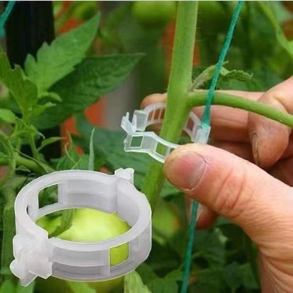 500Pcs Plastic Plant Support C – обзор и цена Vine Climbing Plastic