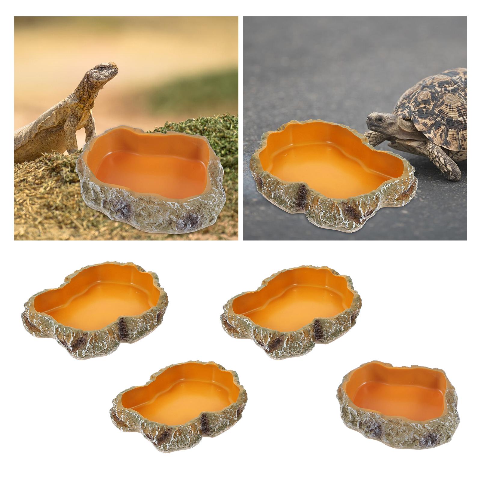 Reptile Water Bowls Decorative – обзор и цена Water Dish Reptile