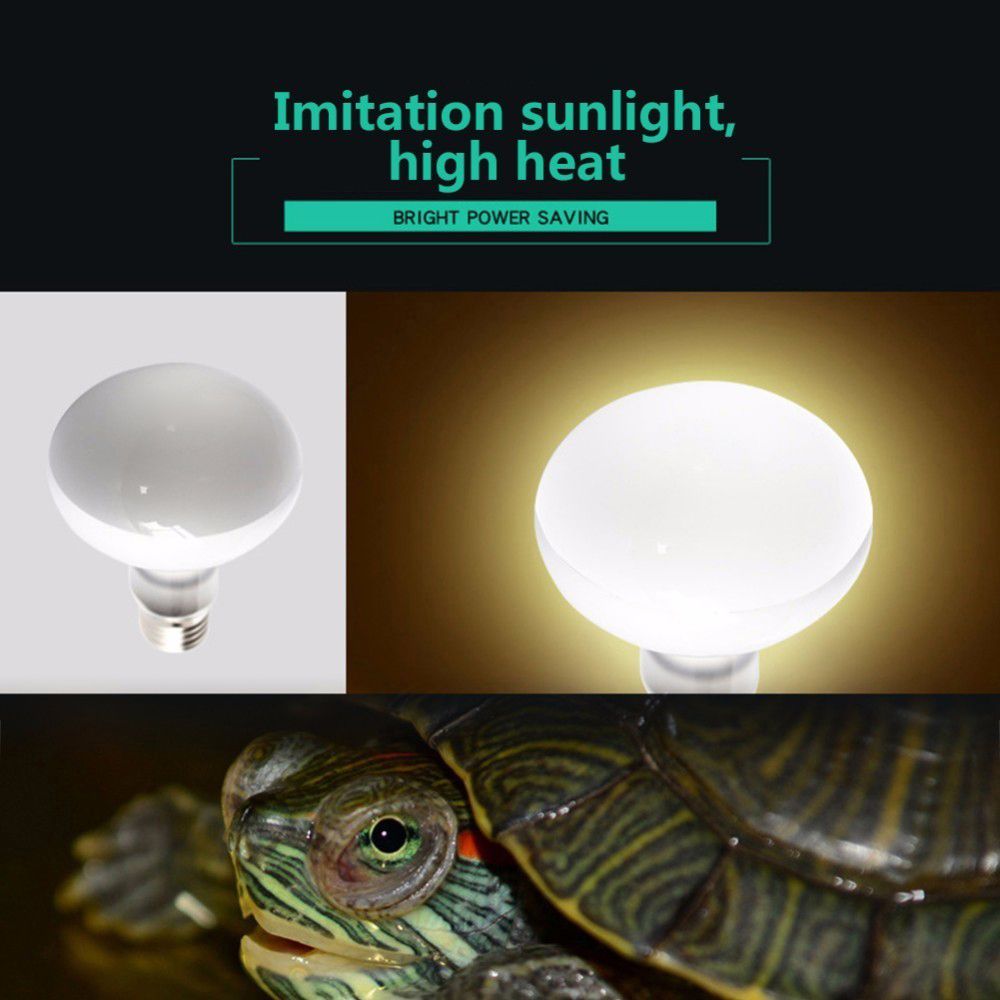 Amphibians Heat Lamp Temperatu – обзор и цена Basking Bulb Halogen