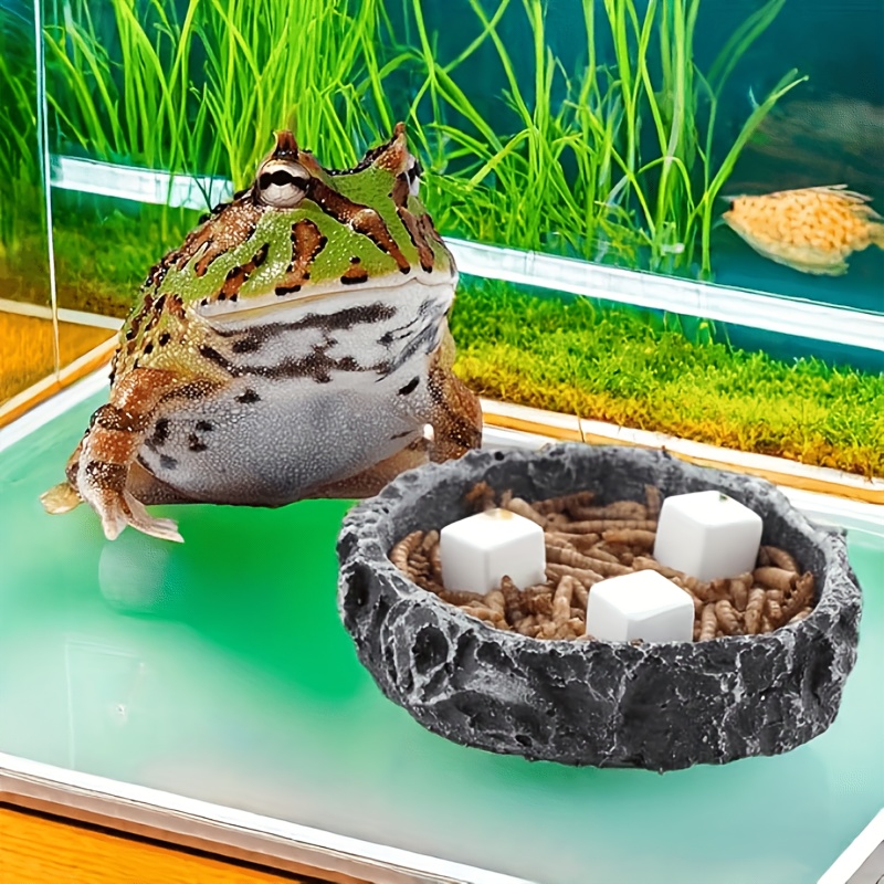 6 Pcs Fish Tank Calcium Block  – обзор и цена Calcium Powder Reptile