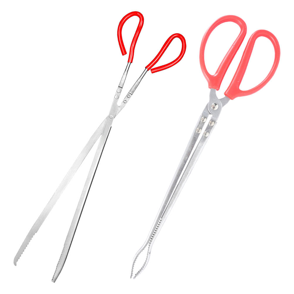 2Pcs Stainless Steel Snake Ton – обзор и цена Feeding Tong Stainless